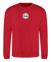 c1-corvette-embroidered-crew-neck-sweatshirt-cvr60010301-3-corvette-store-online