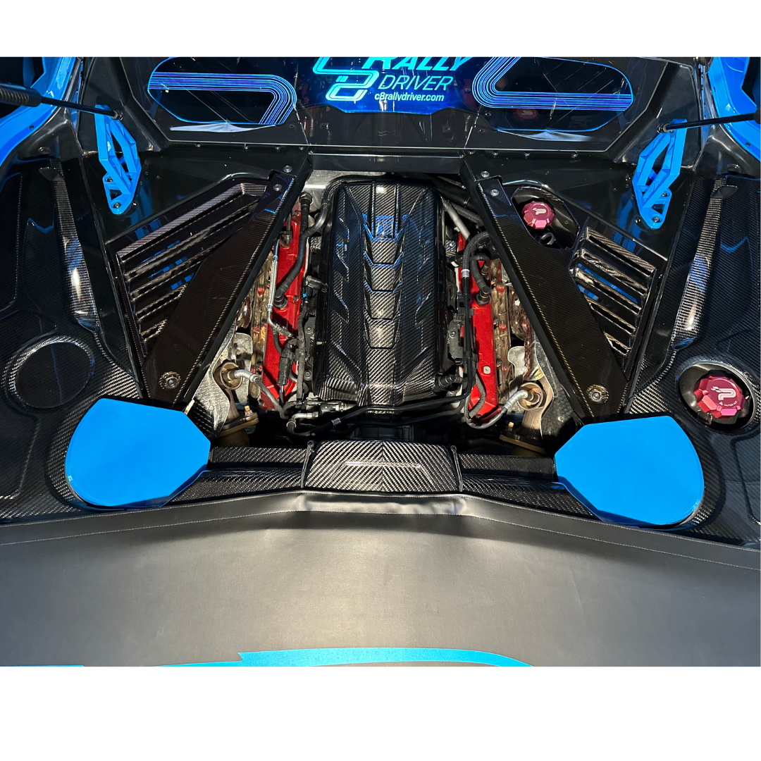 C8 Corvette Carbon Fiber Rear Strut Covers - Painted Factory Colors
