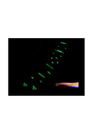 c5-corvette-window-switch-led-lighting-kit