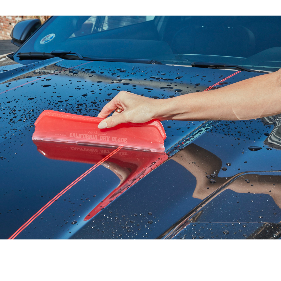 California Car Duster Platinum Combo Kit with Dry Blade