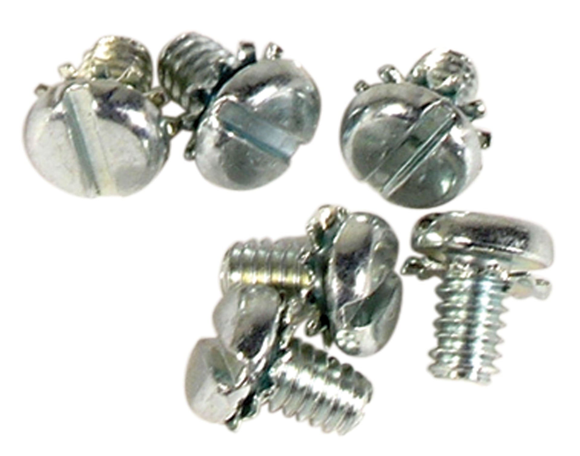 1965-1965 Corvette Water Pump Backplate Screws. 396 - CA-42147-Corvette-Store-Online