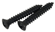 1977-1982 Corvette Rear Window Shade Handle Screws 2/Set - CA-43713-Corvette-Store-Online