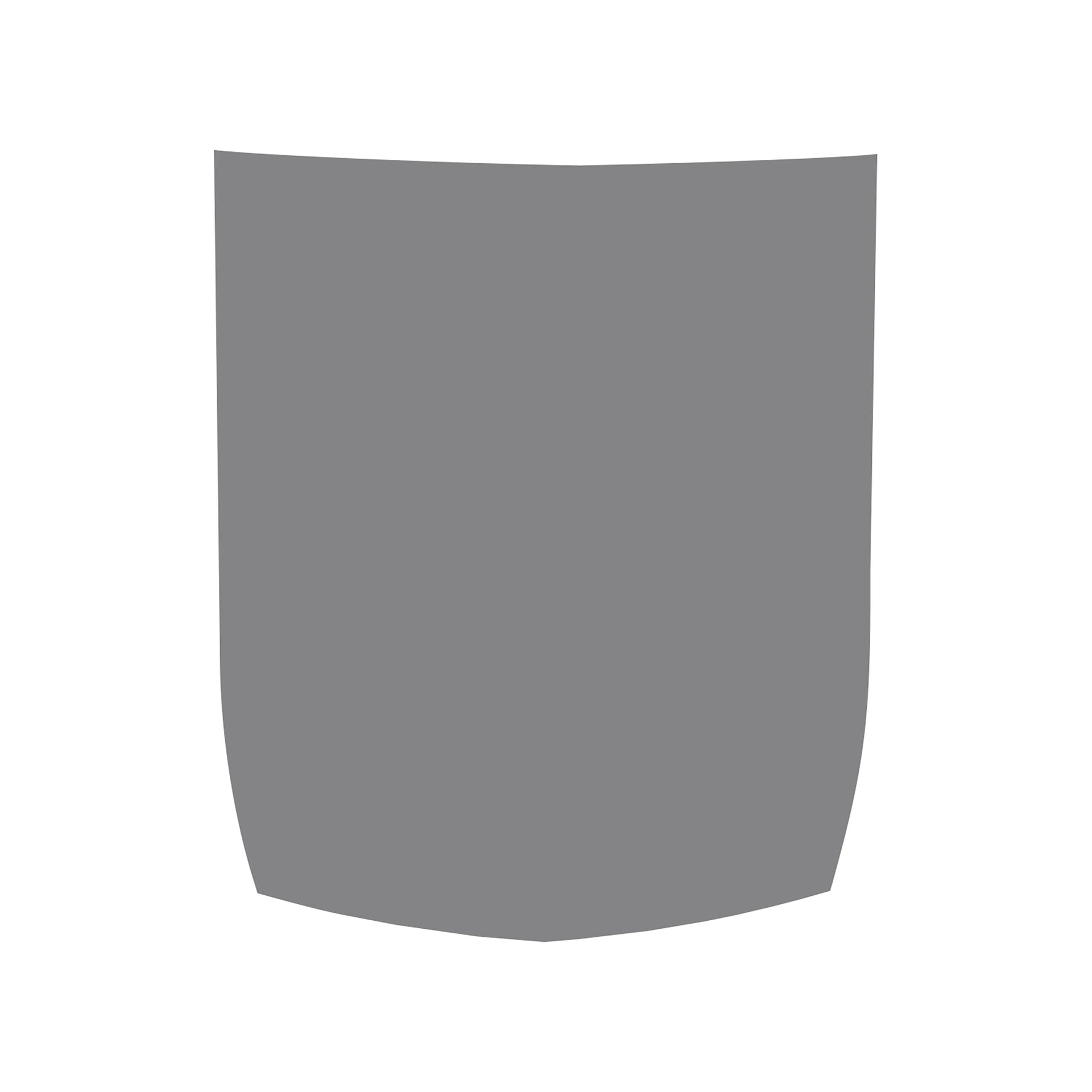 2015-2019 Corvette Stinger Style Stripe - Solid Stripe - Matte Gray - Z06 - CA-77028-Corvette-Store-Online