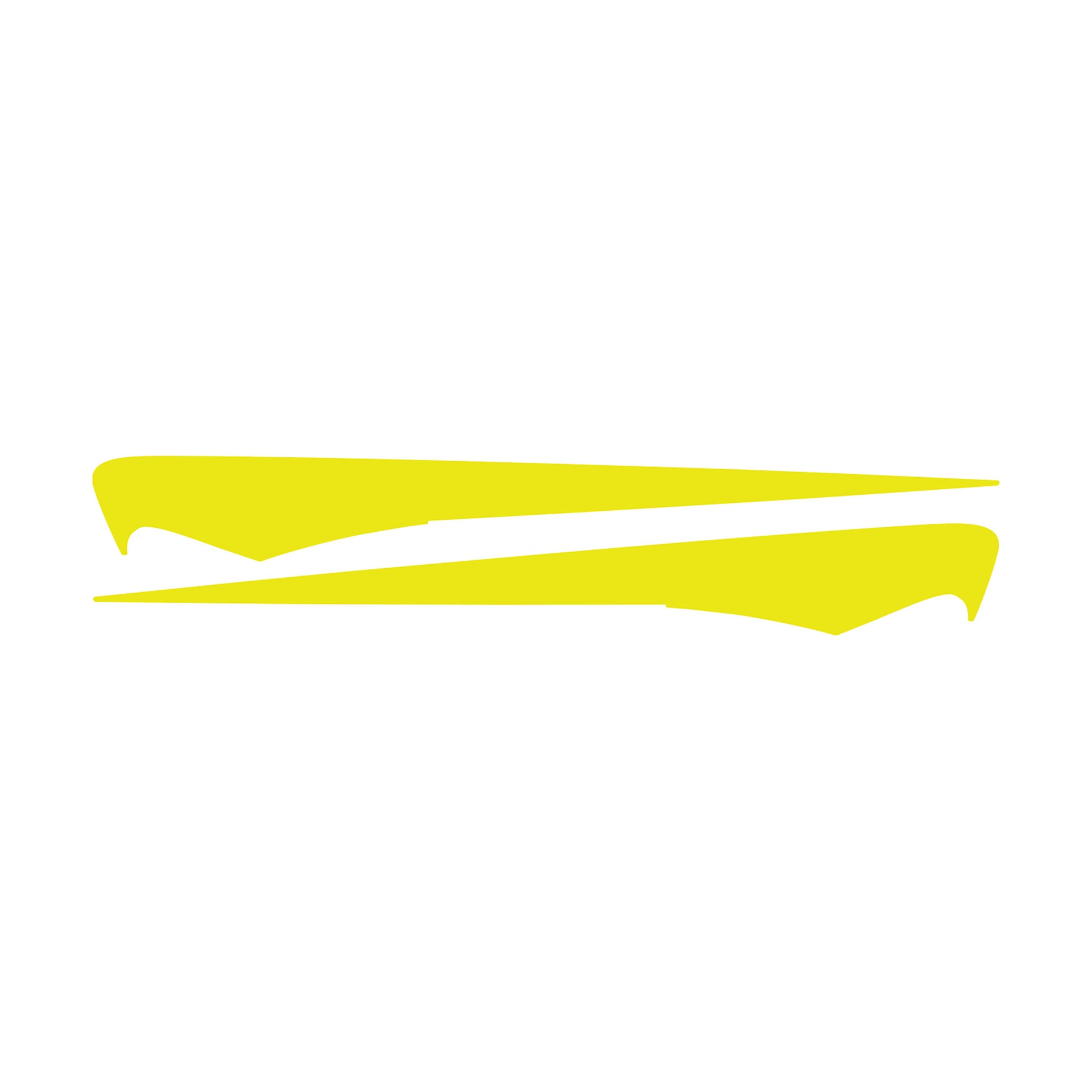 2014-2019 Corvette Side Spear Shadow Stripe - Pair - Z06 - Gloss Yellow - CA-77070-Corvette-Store-Online