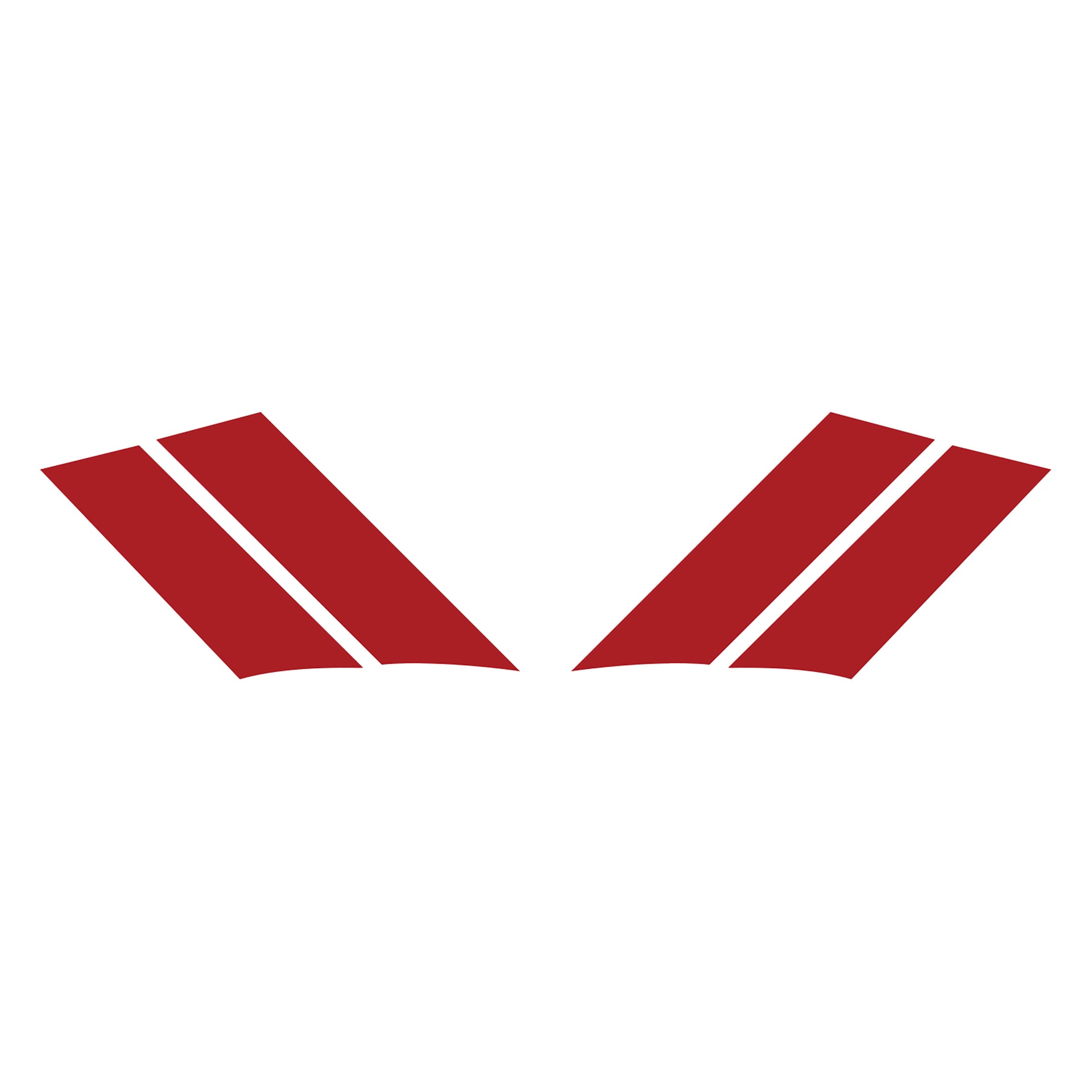 1984-1996 Corvette GS Fender Stripes - Gloss Red Both - CA-77788-Corvette-Store-Online