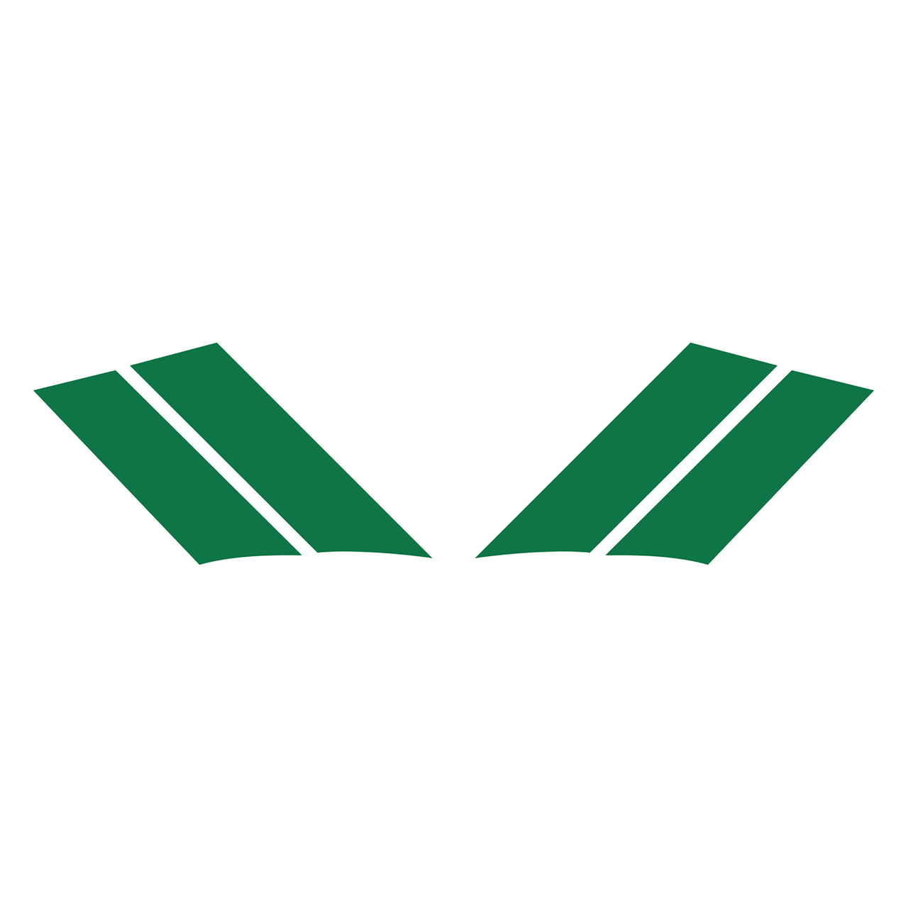 1984-1996 Corvette GS Fender Stripes - Gloss Green Both - CA-77797-Corvette-Store-Online