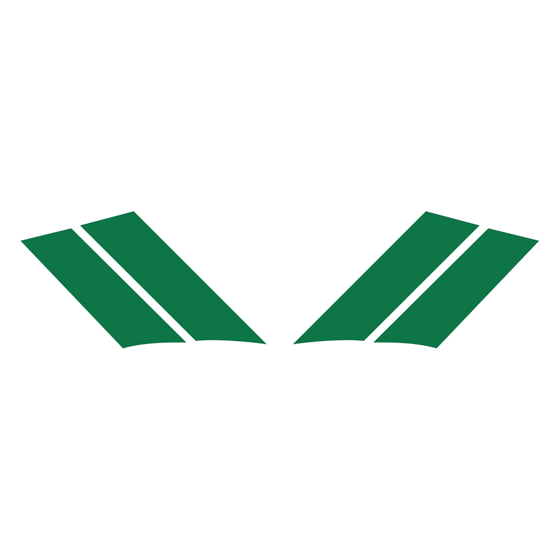 1984-1996 Corvette GS Fender Stripes - Gloss Green Both - CA-77797-Corvette-Store-Online