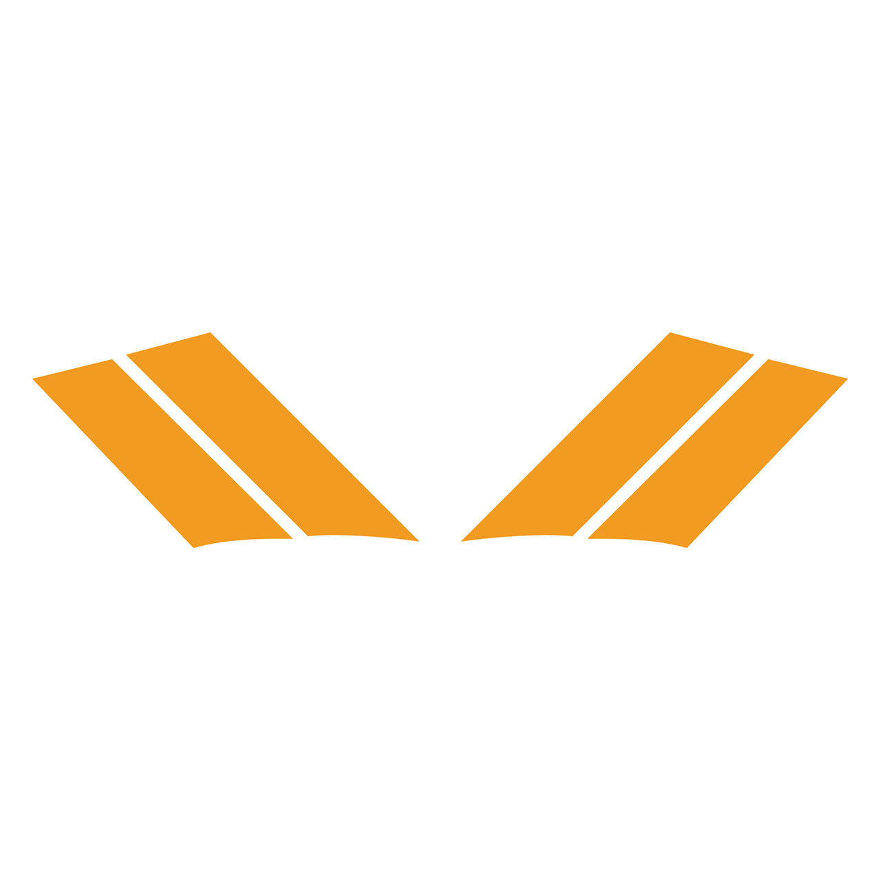 1984-1996 Corvette GS Fender Stripes - Gloss Orange Both - CA-77800-Corvette-Store-Online