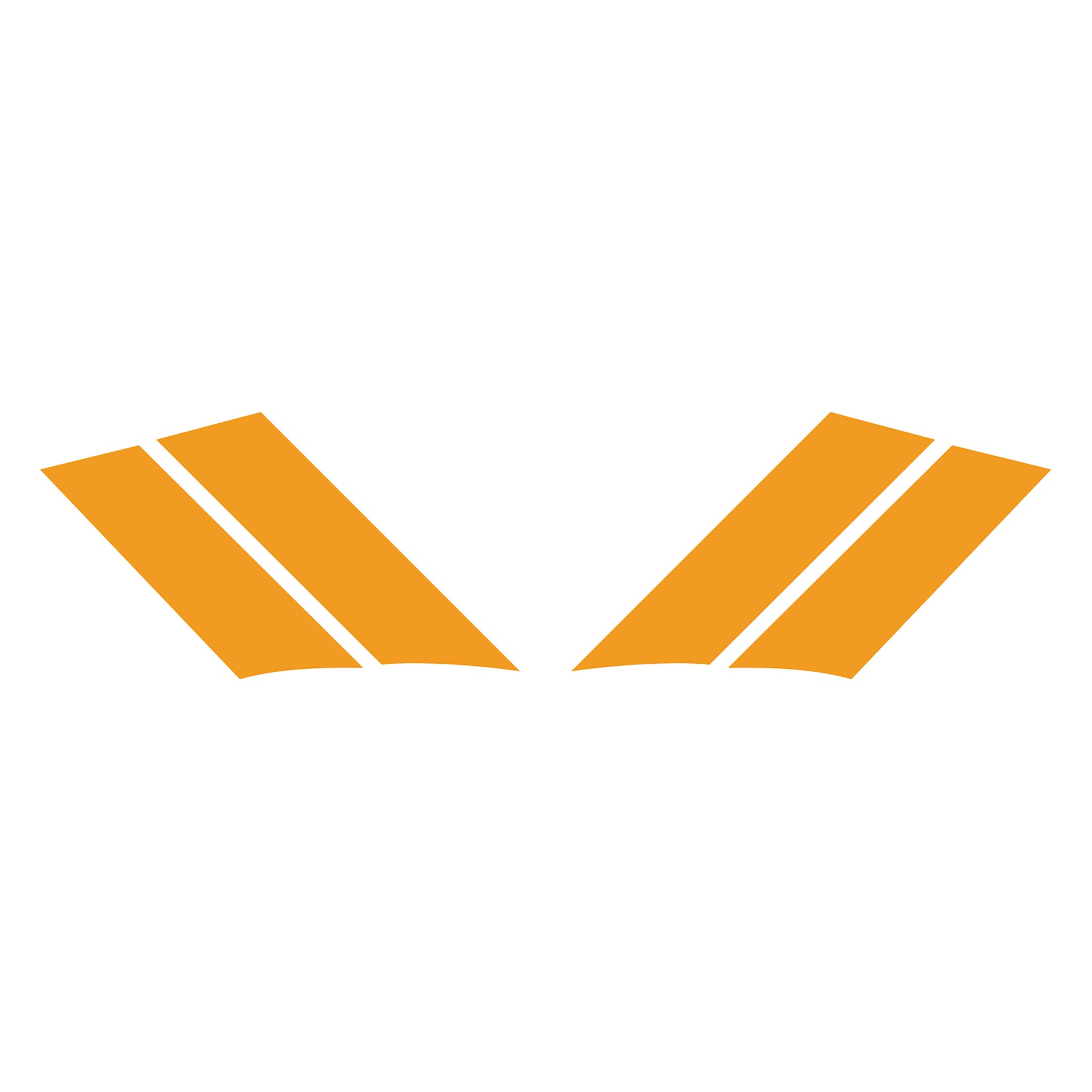 1984-1996 Corvette GS Fender Stripes - Gloss Orange Both - CA-77800-Corvette-Store-Online
