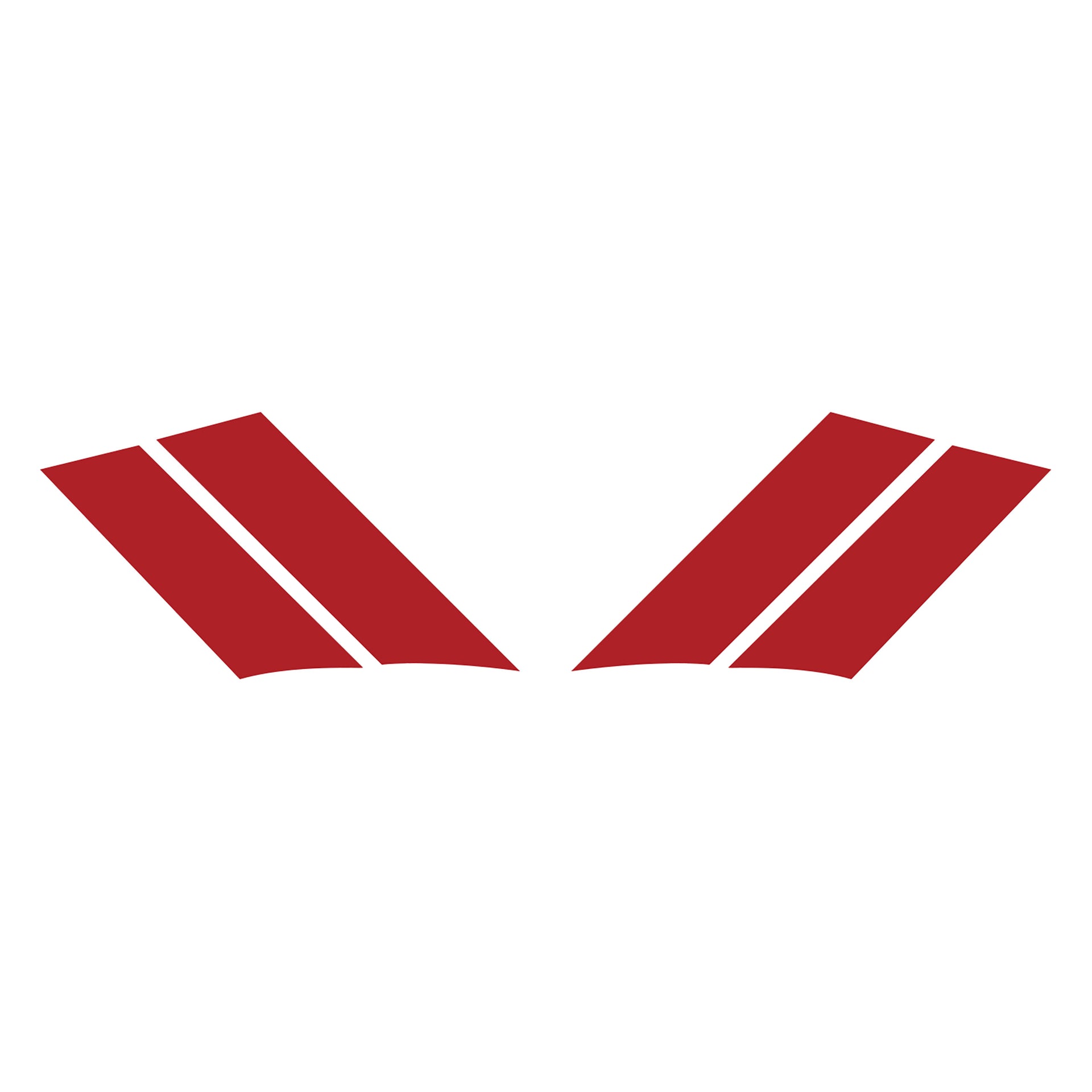 1984-1996 Corvette GS Fender Stripes - Matte Red Both - CA-77809-Corvette-Store-Online