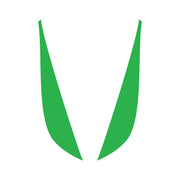 2014-2019 Corvette Fang Overlay - 2Pc - Gloss Lime Green - CA-78049-Corvette-Store-Online