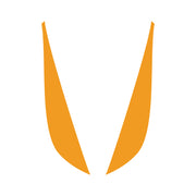 2014-2019 Corvette Fang Overlay - 2Pc - Gloss Orange - CA-78051-Corvette-Store-Online