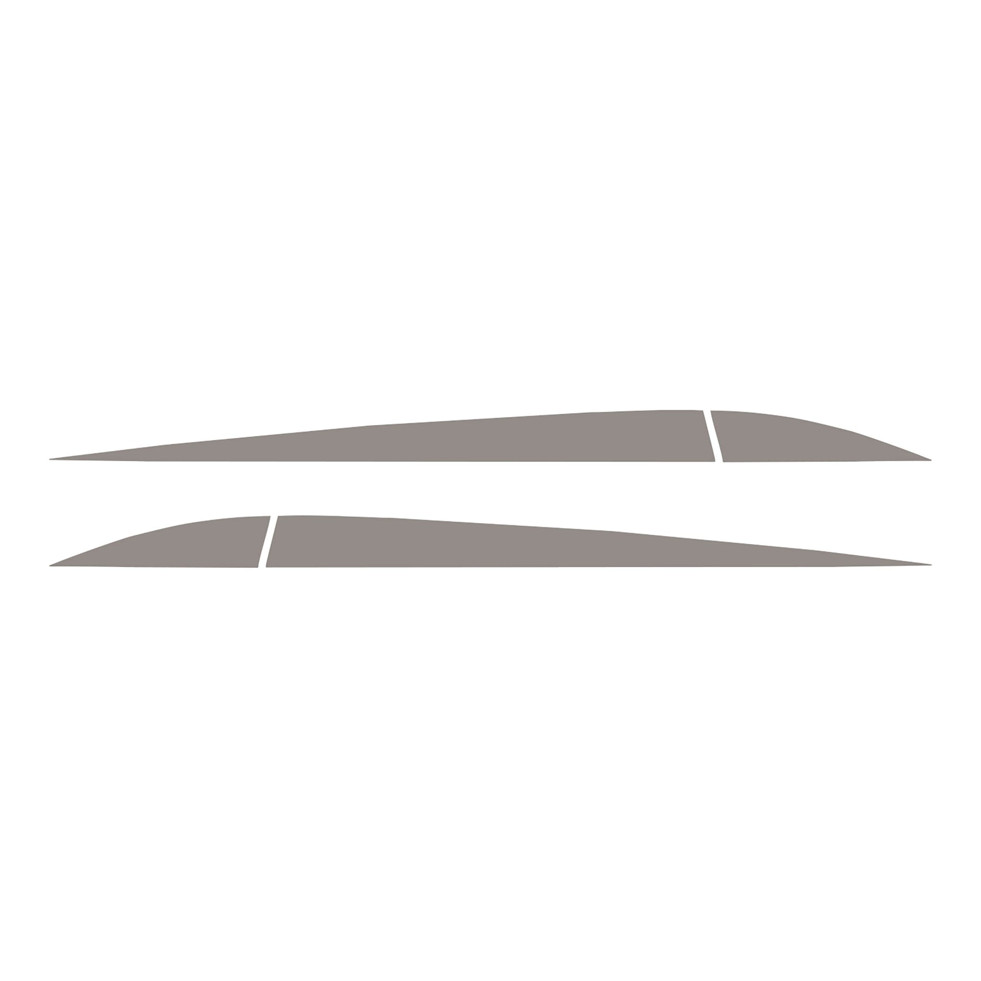 2014-2019 Corvette Side Door Stripes - Pair Gloss Silver - CA-78364-Corvette-Store-Online
