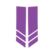 2014-2019 Corvette Stripe Winglets Matte Purple Matte Purple - CA-78531-Corvette-Store-Online
