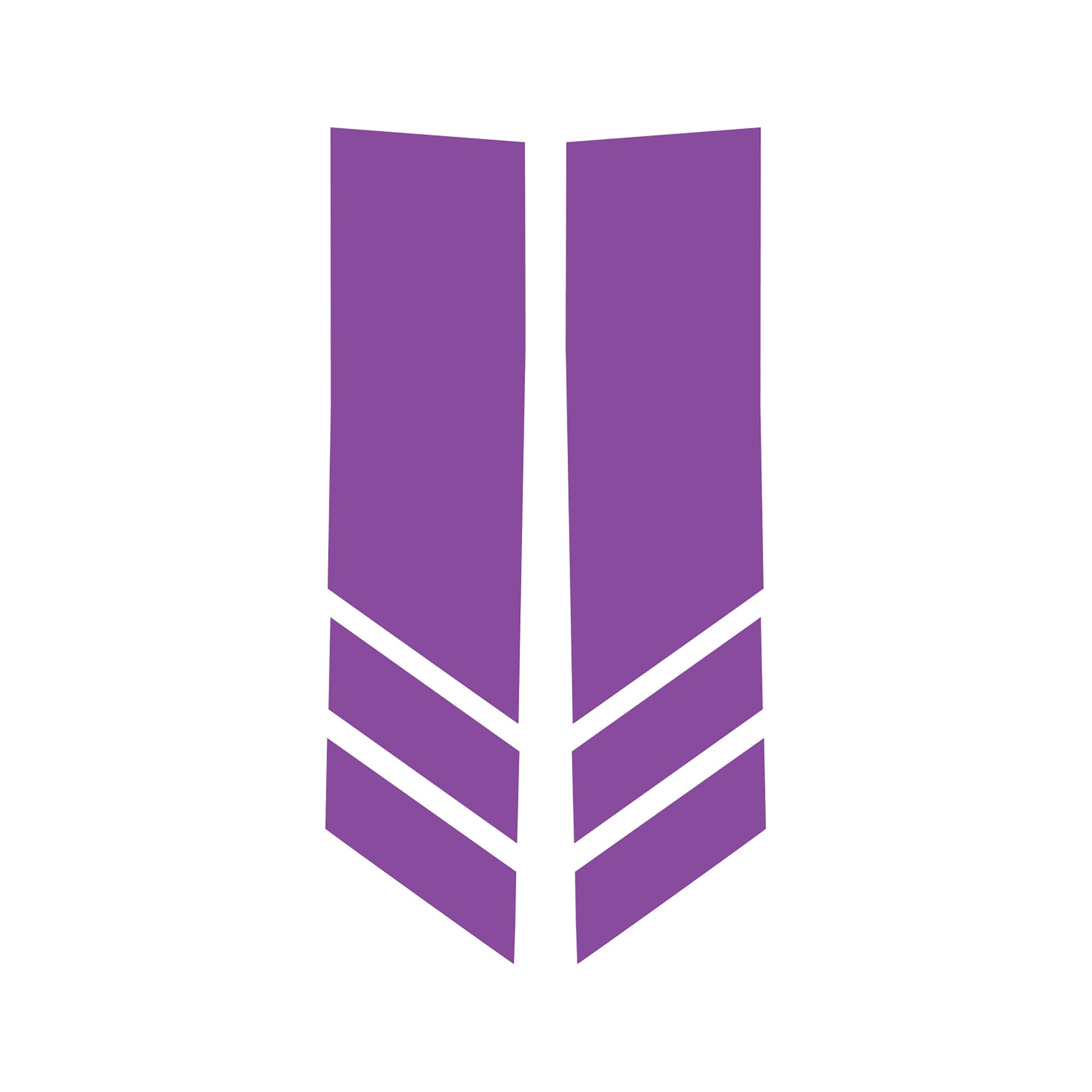 2014-2019 Corvette Stripe Winglets Matte Purple Matte Purple - CA-78531-Corvette-Store-Online