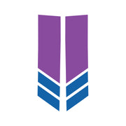 2014-2019 Corvette Stripe Winglets Matte Purple Matte Blue - CA-78532-Corvette-Store-Online