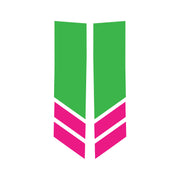 2014-2019 Corvette Stripe Winglets Matte Lime Green Gloss Pink - CA-78541-Corvette-Store-Online