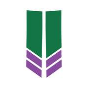 2014-2019 Corvette Stripe Winglets Gloss Green Matte Purple - CA-78549-Corvette-Store-Online