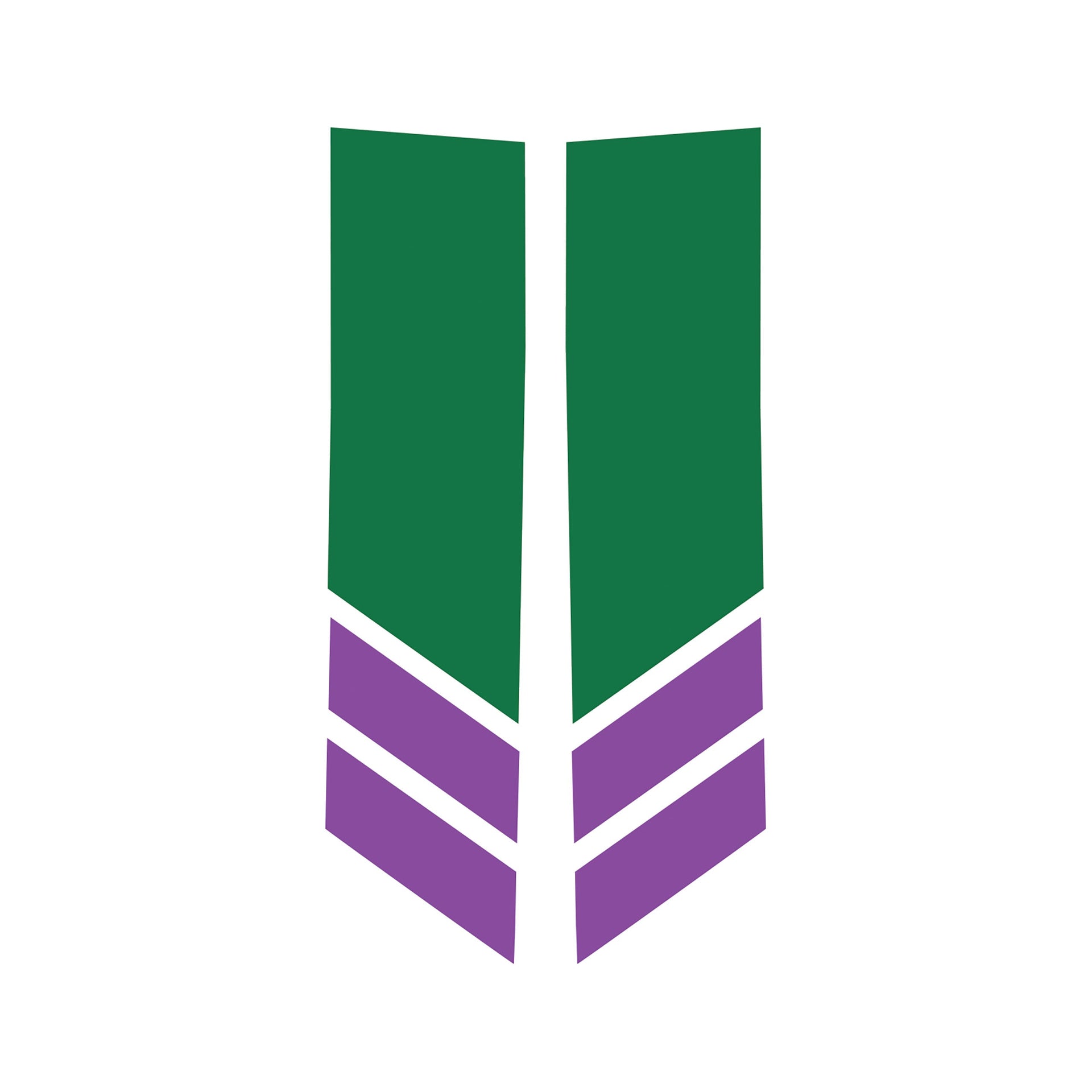 2014-2019 Corvette Stripe Winglets Gloss Green Matte Purple - CA-78549-Corvette-Store-Online