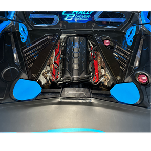 C8 Corvette Carbon Fiber Rear Strut Covers - Painted Factory Colors