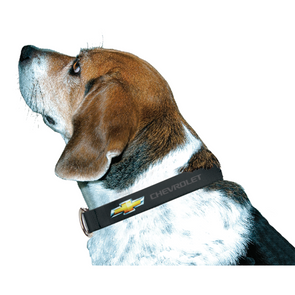 chevrolet-gold-bowtie-adjustable-dog-collar