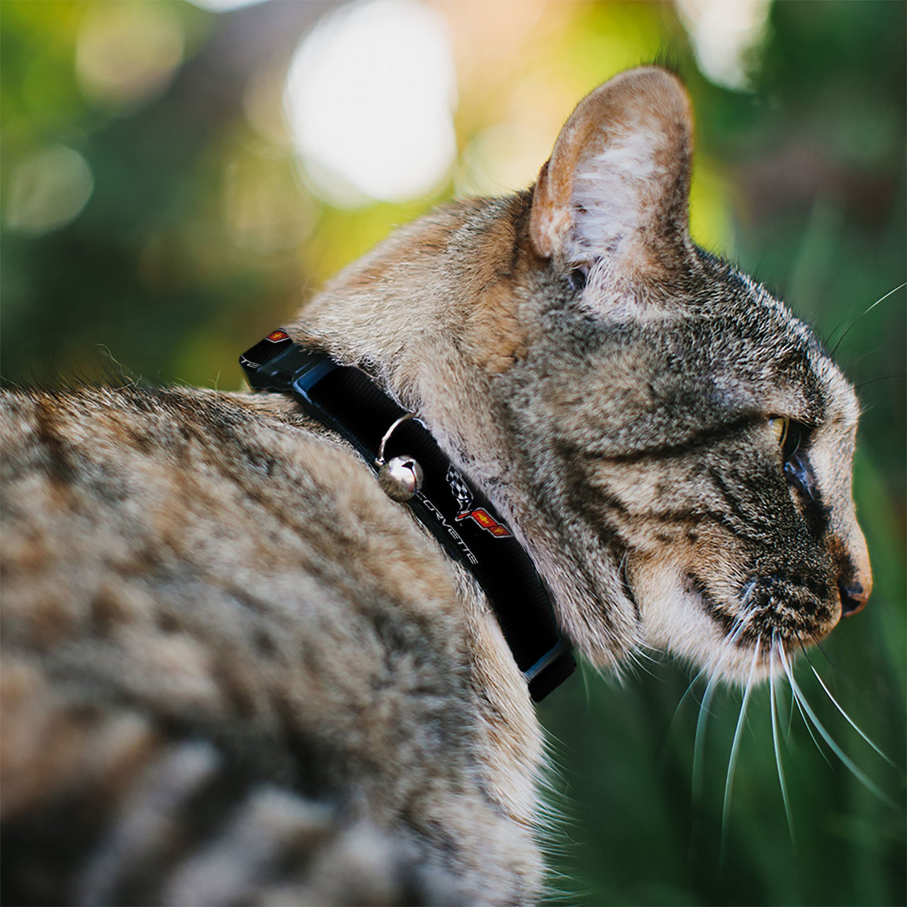 Cat Collar Breakaway - C6 Logo REPEAT