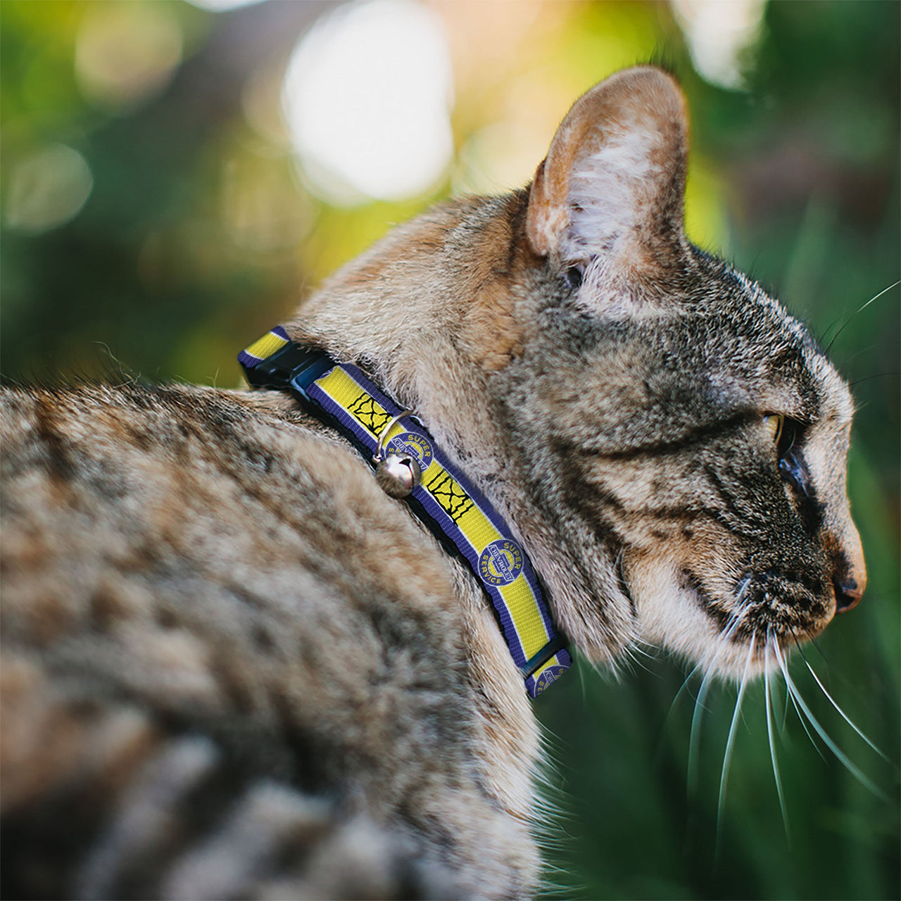 Chevrolet Super Service Logo Stripe Blue & Yellow Cat Collar Breakaway