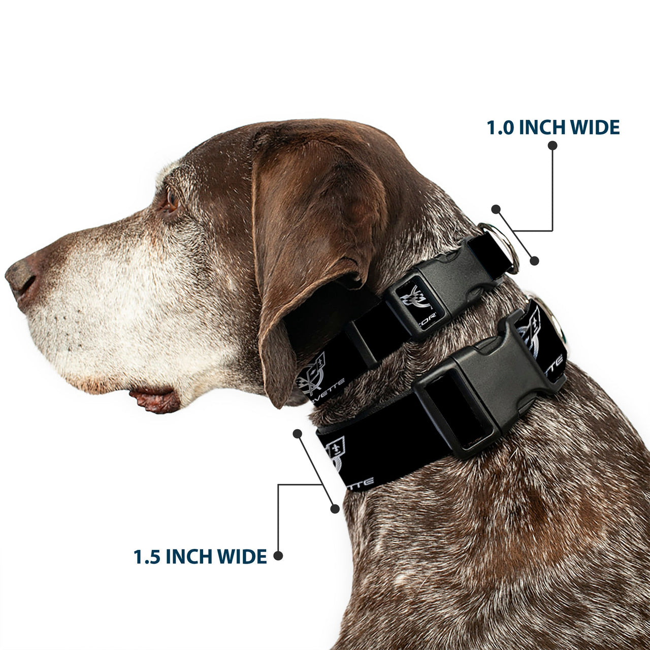 Plastic Clip Collar - Corvette Black/Silver REPEAT