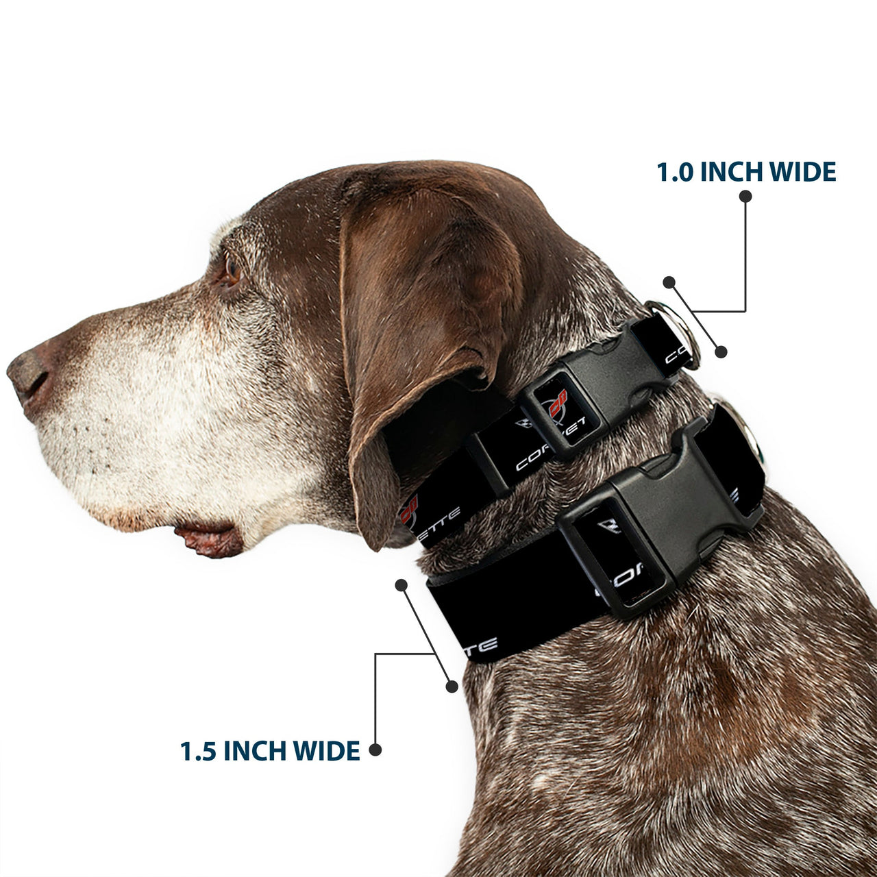Plastic Clip Collar - CORVETTE C5 Logo Black/Gray/White/Red REPEAT