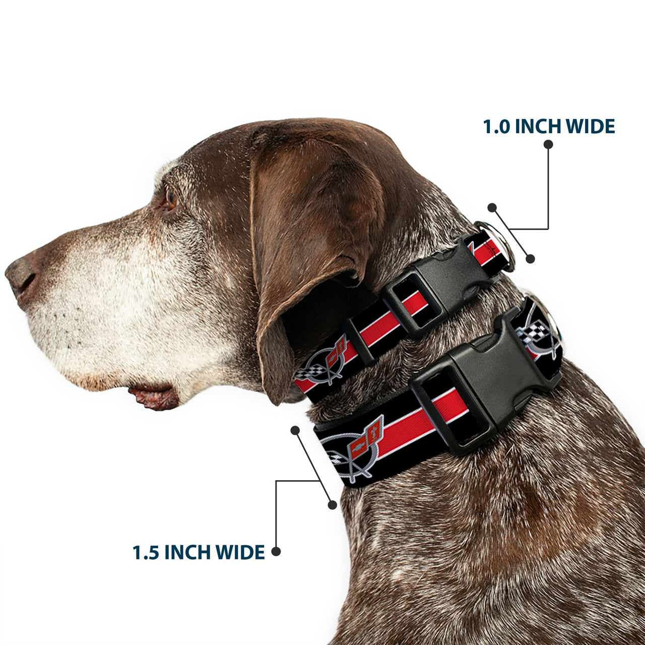 Plastic Clip Collar - CORVETTE C5 Logo/Stripe Black/White/Red/Gray REPEAT