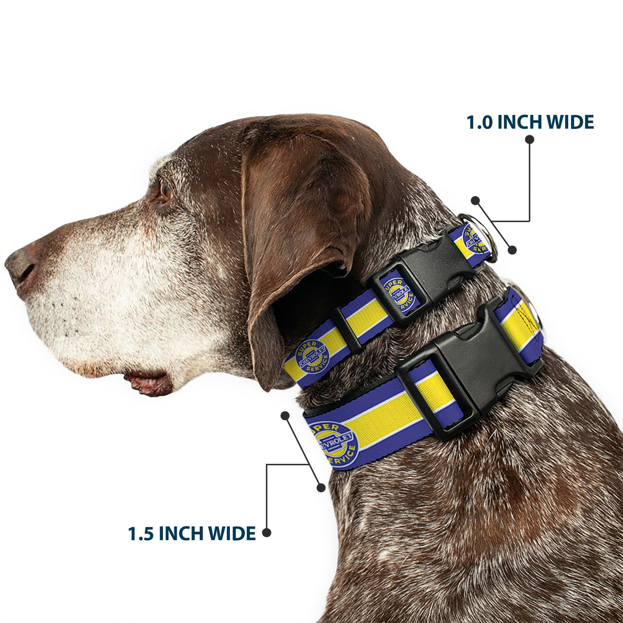 Chevrolet Super Service Logo Striped Blue & Yellow Plastic Clip Collar