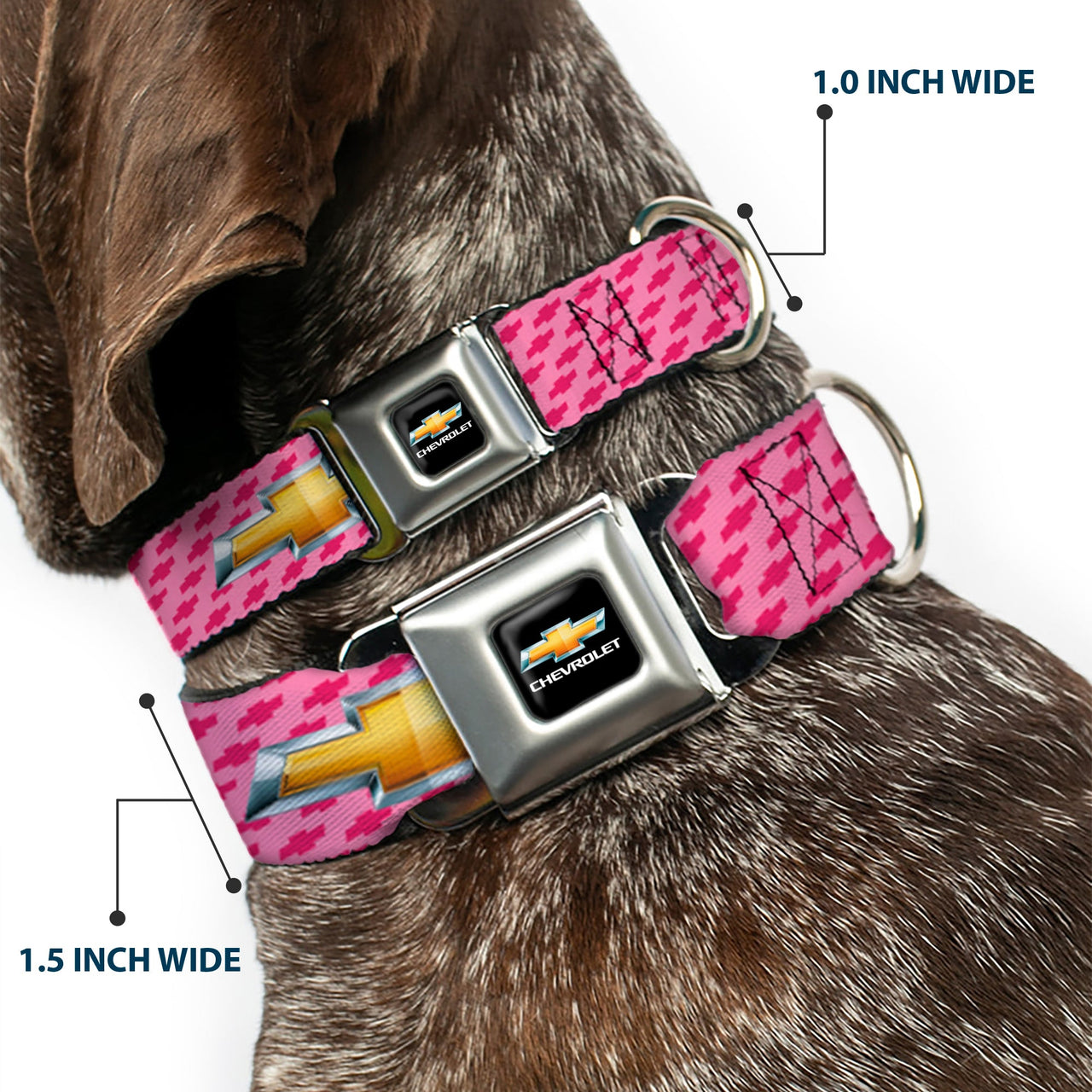 Chevy Bowtie Pink Seatbelt Buckle Collar