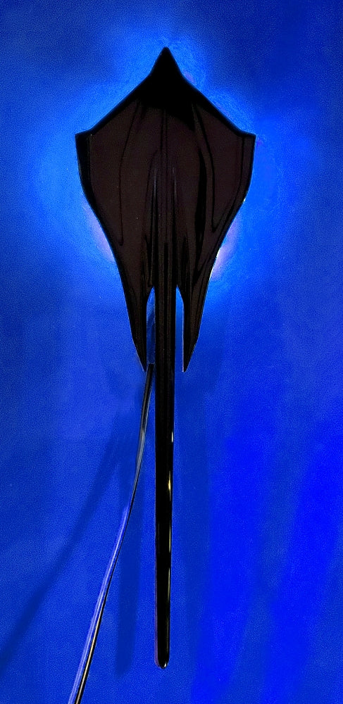 Backlit-Rear-Emblem---Carbon-Flash-Emblem-W/Blue-LED-200435-Corvette-Store-Online