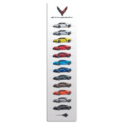 c8-corvette-stingray-color-art-metal-print