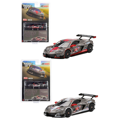 Chevy Corvette C8.R #3 and #4 IMSA 12H of Sebring Set (2021) Limited Edition 1/64 Diecast Model Cars