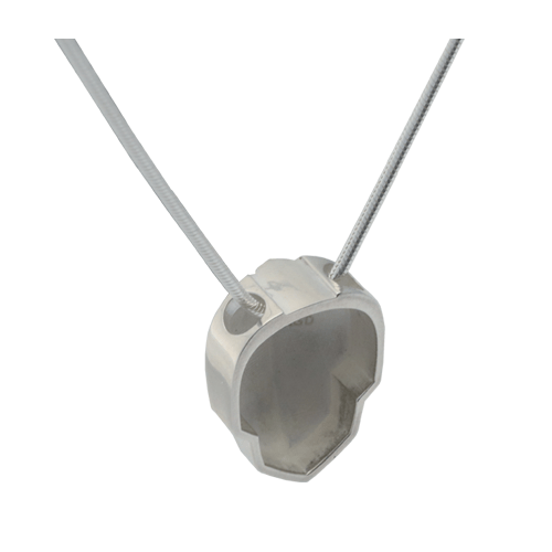 c8-corvette-racing-jake-skull-pendant