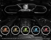 c8-corvette-targa-top-coupe-wind-restrictor-glow-plate